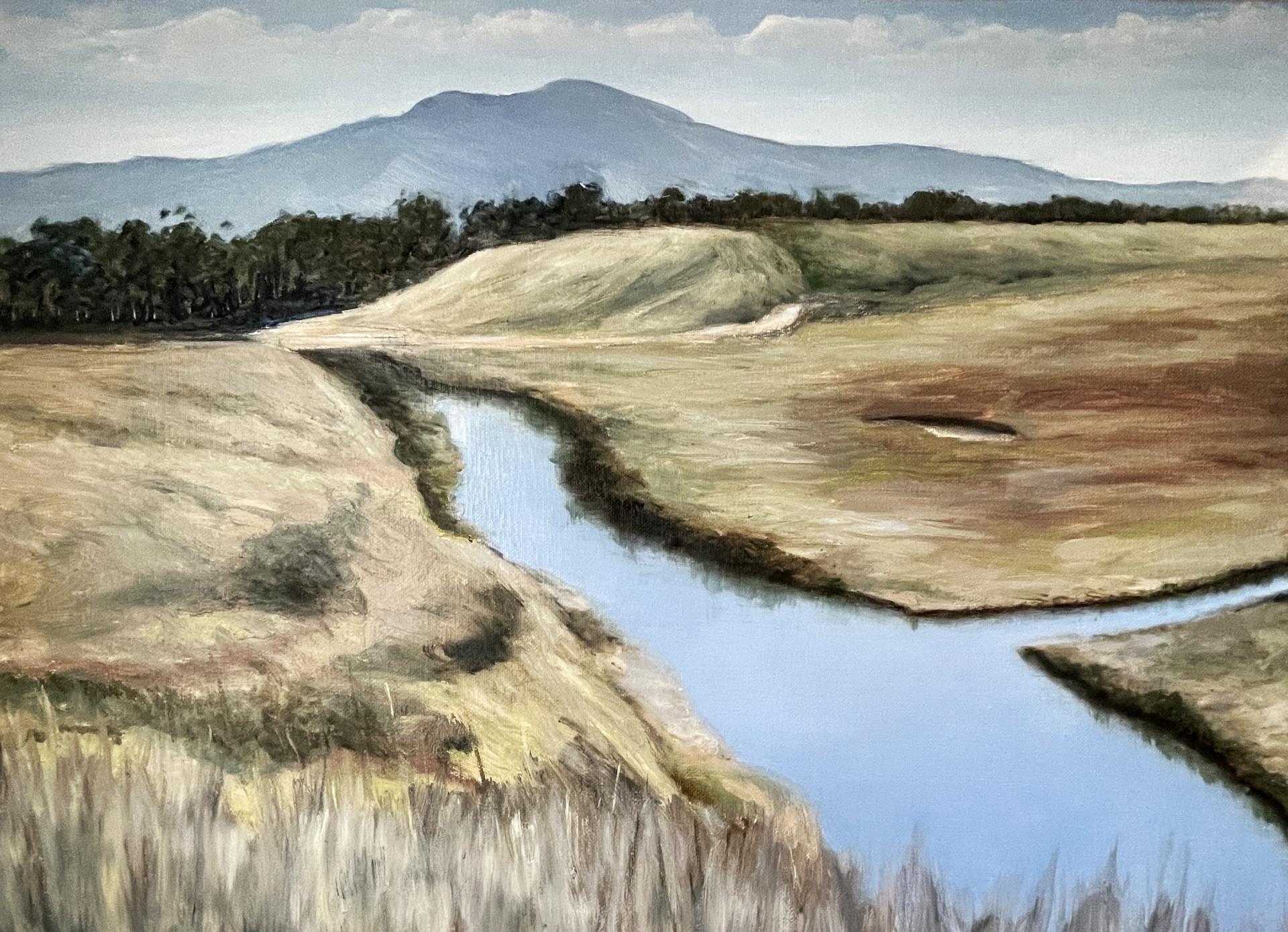 Schuller, Peter L. #1 Newport Back Bay Saddleback Mountain 24 x 18