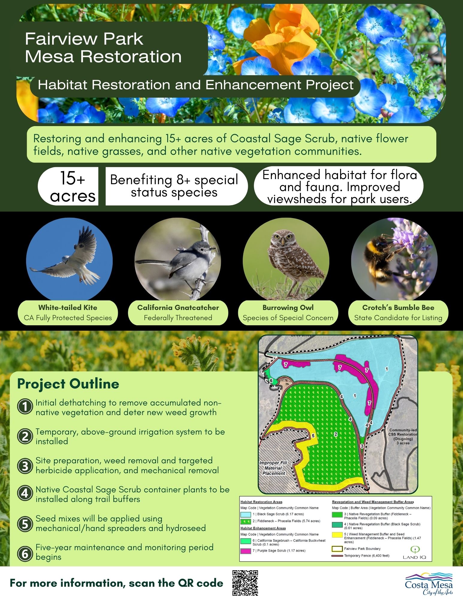 CSS and Flower Fields Flyer